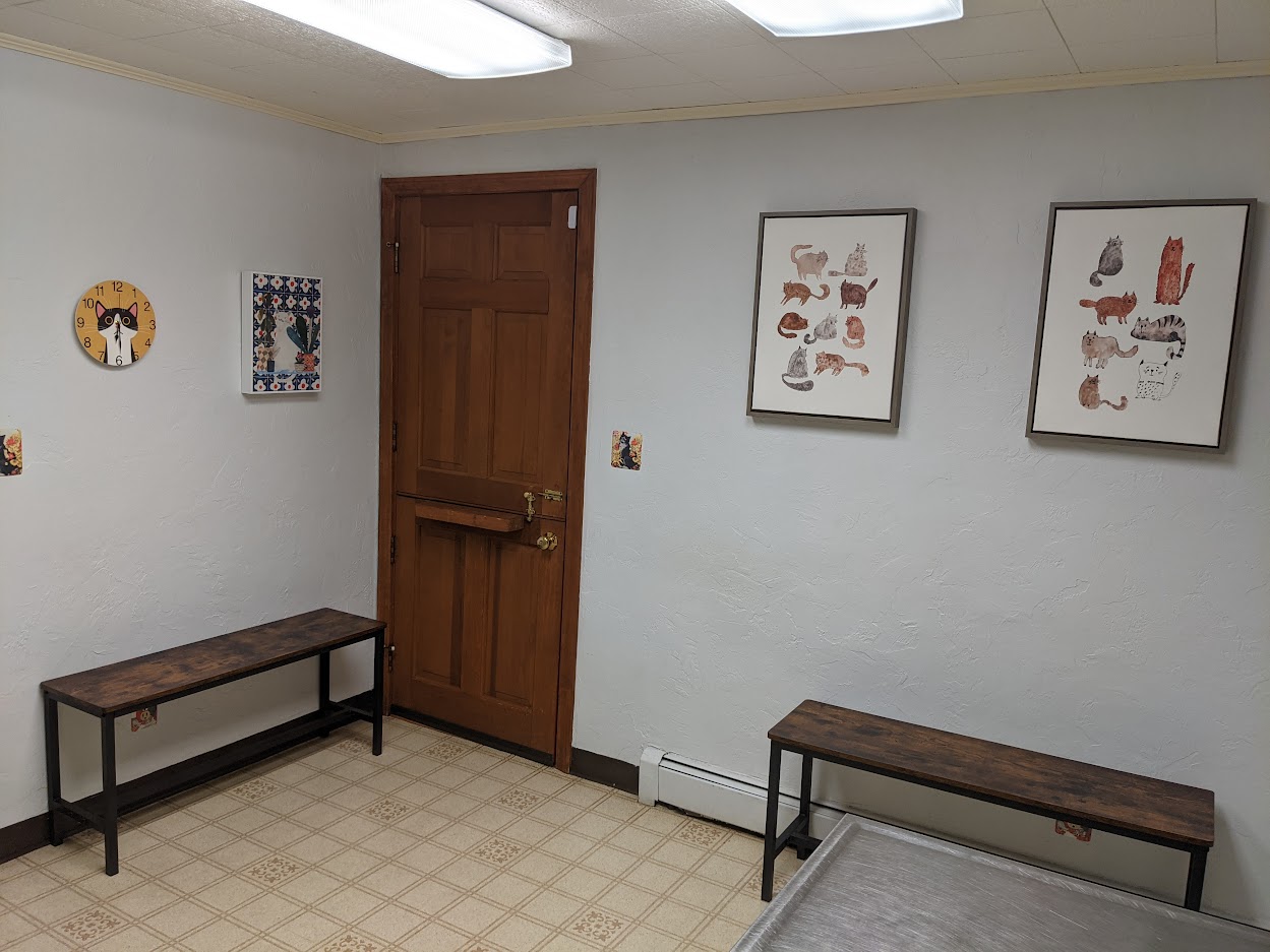 The cat exam room seating